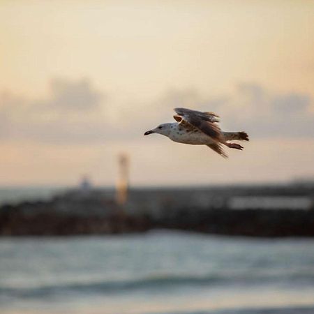 Ibis Budget Ciboure St-Jean-Luz ภายนอก รูปภาพ
